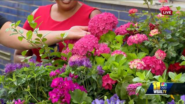 Bell Nursery: Building a pollinator garden 