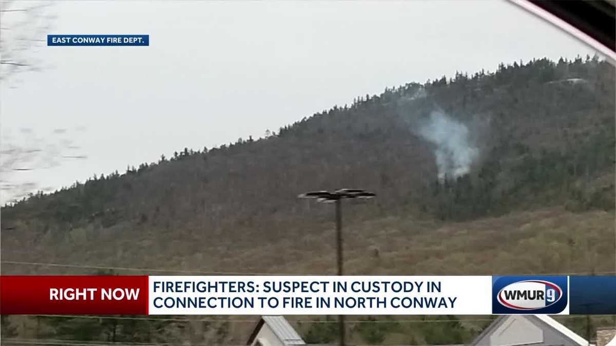 Man arrested in connection with Conway brush fire