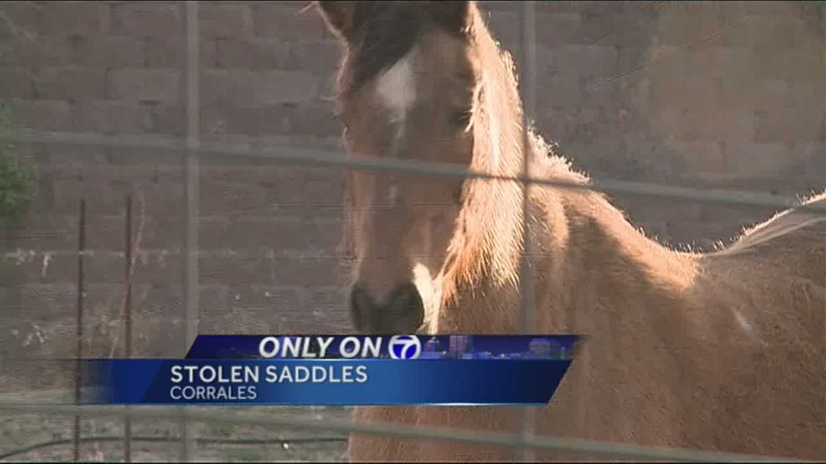 Stolen Horse Saddles