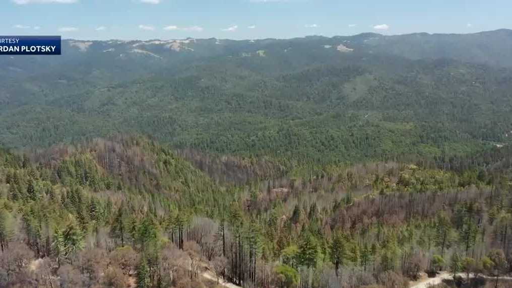 200 acres added to oldest California state park - Vimarsana News