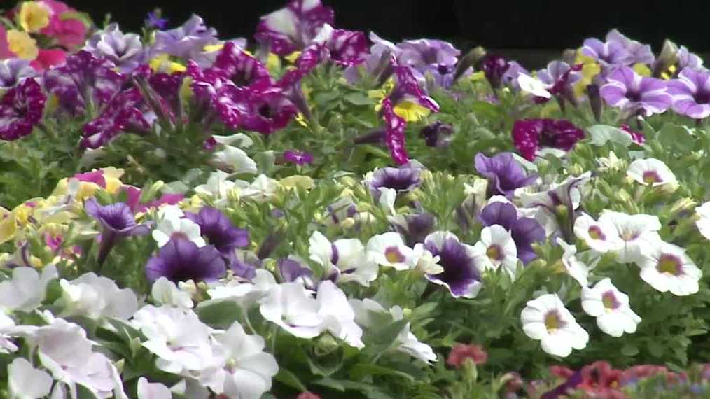 Free mulch available to Pittsburgh residents for spring gardening