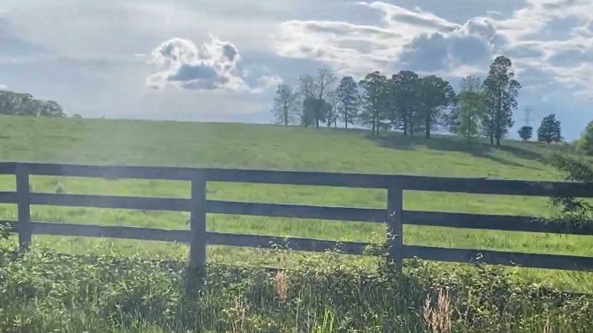 Pickens housing development passes first reading, but not without earmarks