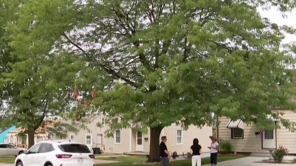 Grants to bring more tree cover to Omaha neighborhood