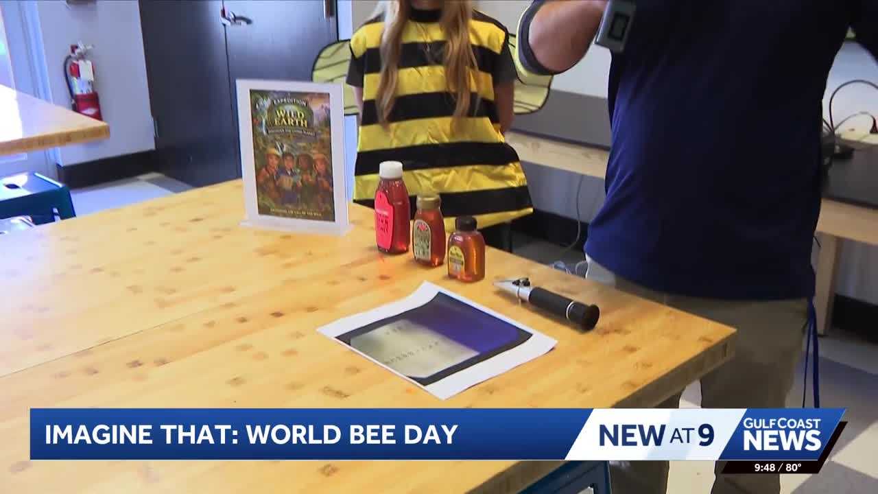 IMAGine That!: Learning more about World Bee Day with science | Naples ...