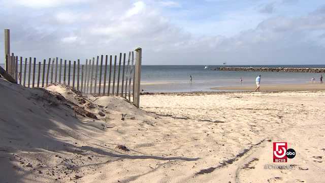 This Cape Cod town is a creative's paradise - Vimarsana News