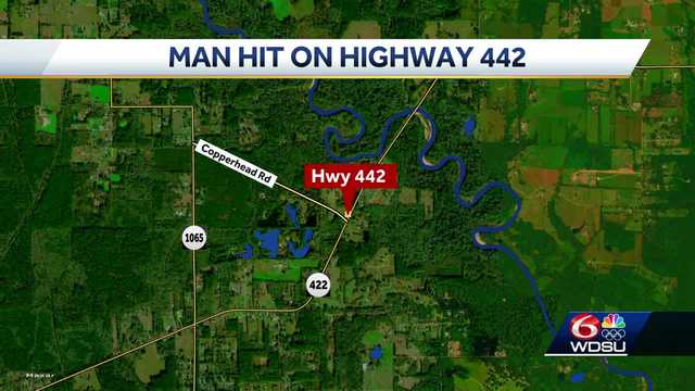Louisiana State Police investigate two separate overnight crashes - Vimarsana News