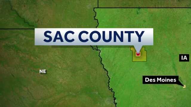Over 1,000 dead pigs discovered on Iowa woman's property - Vimarsana News