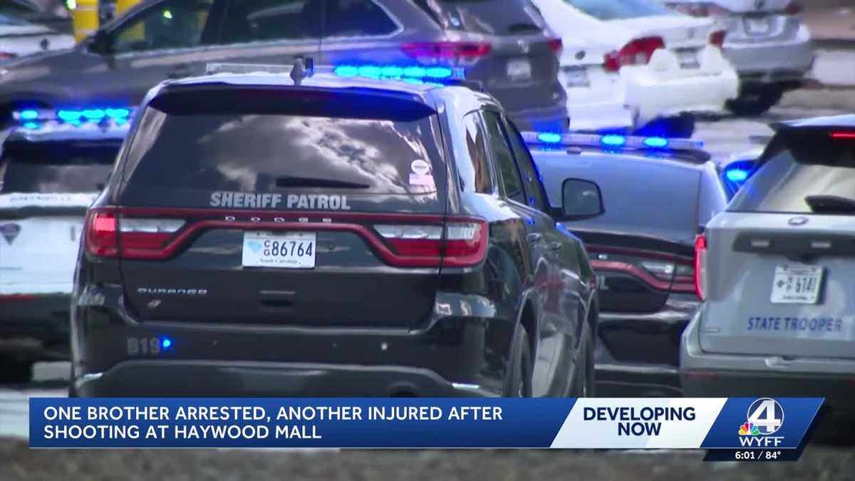 Mother of 17-year-old Haywood Mall shooting suspect claims self-defense