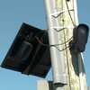 Future of license plate reader cameras on the Gulf Coast uncertain following Florida DOT order