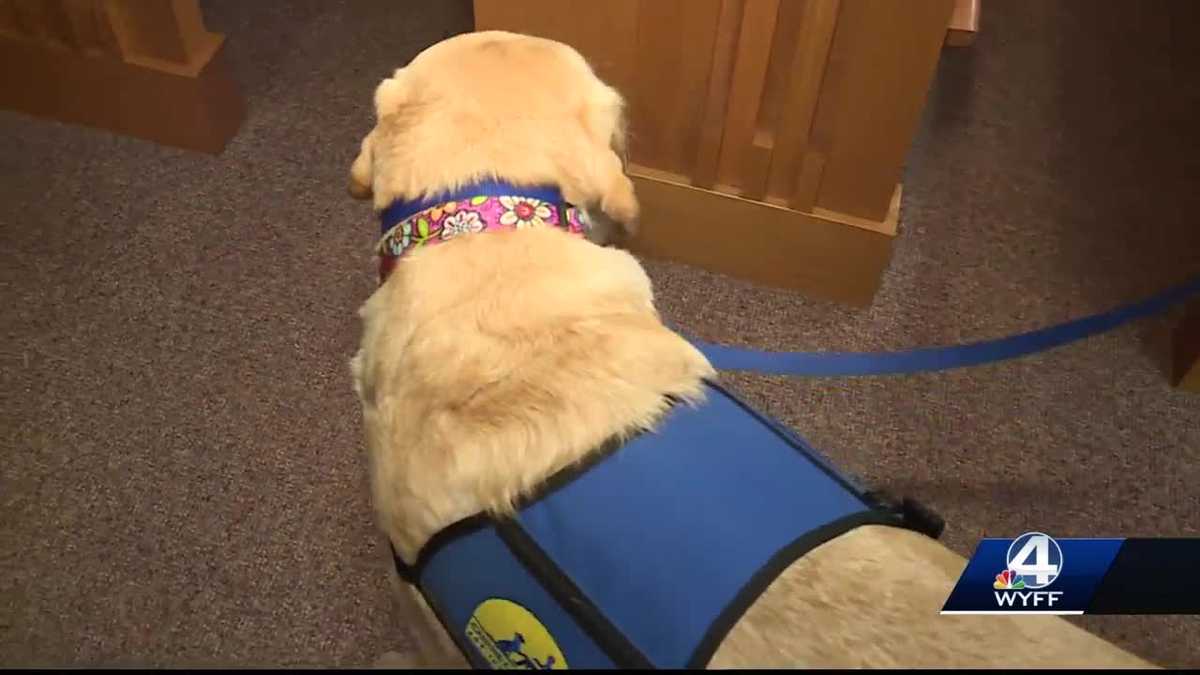 Anderson County Court House features canine companion