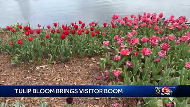City Park flower display draws thousands - Vimarsana News