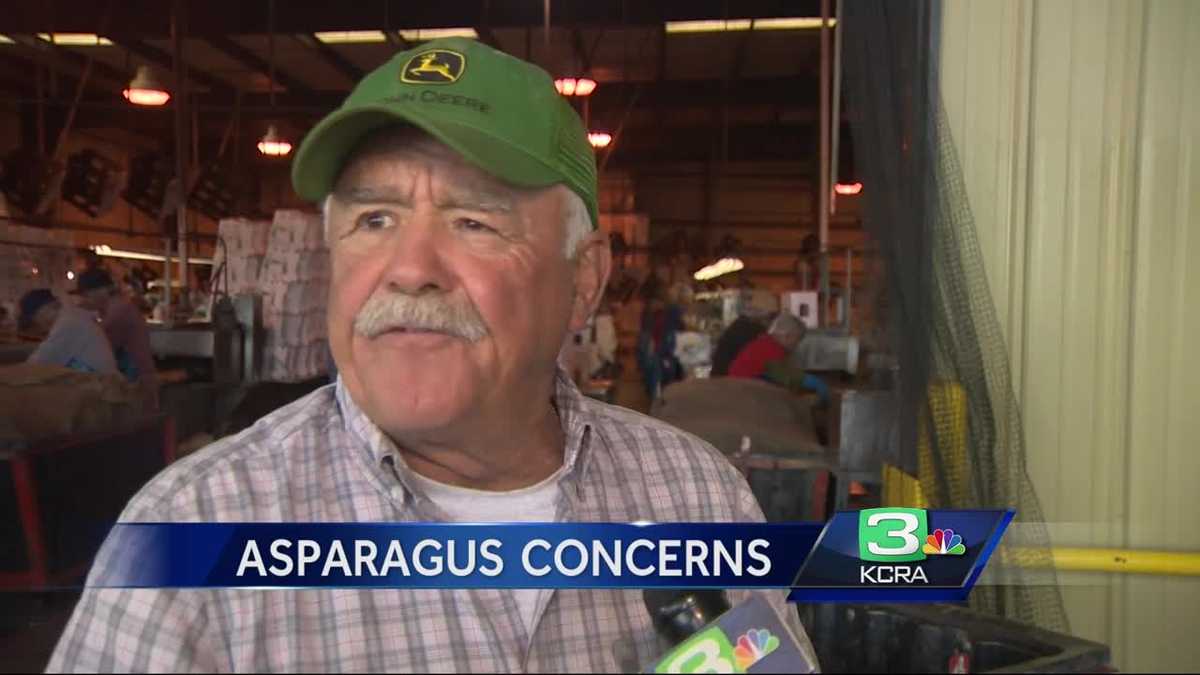 Asparagus farmer It's hard to compete with foreign growers
