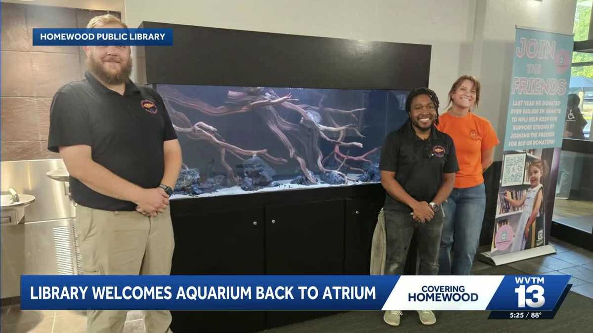 Aquarium returns to Homewood Public Library atrium - WVTM