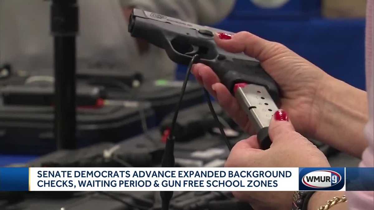 Gun bills pass NH Senate