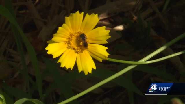 South Carolina: Garden teaches importance of pollination - Vimarsana News