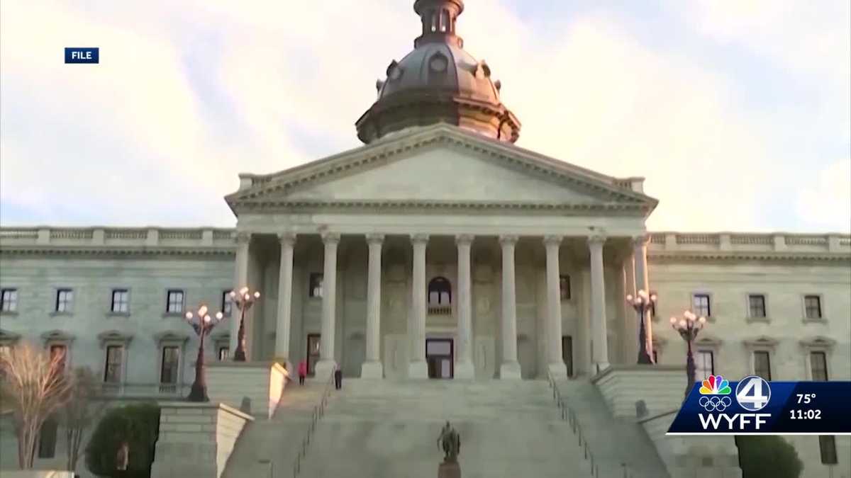 A look at South Carolina's proposed abortion law