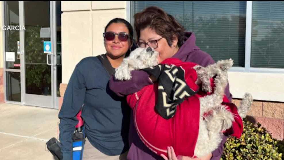 PNM worker who found Otis helps reunite others with lost pets