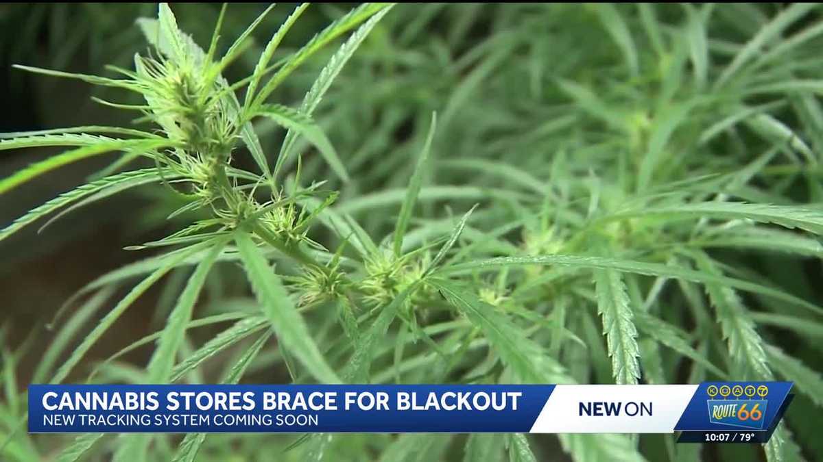 New Mexico cannabis businesses prepare for six-day inventory system blackout
