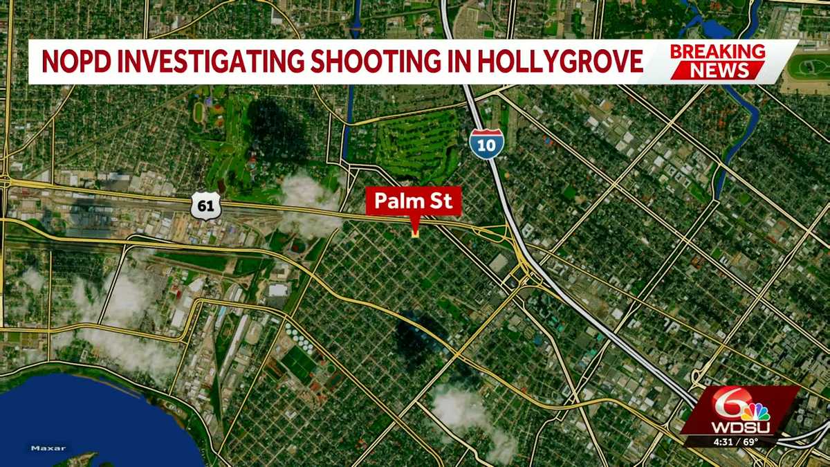 NOPD investigating shooting in Hollygrove