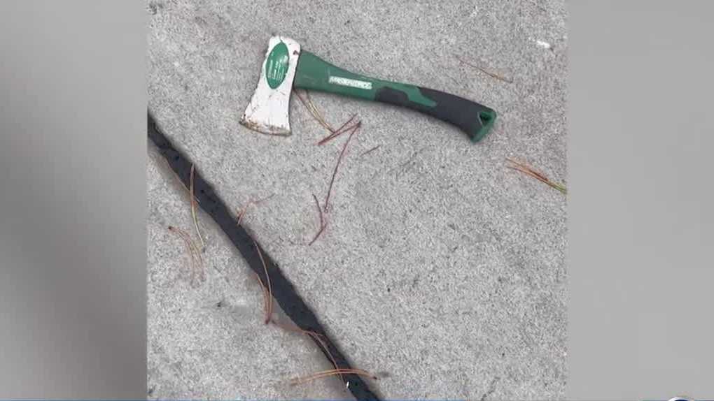 Man allegedly threw hatchet at postal delivery truck
