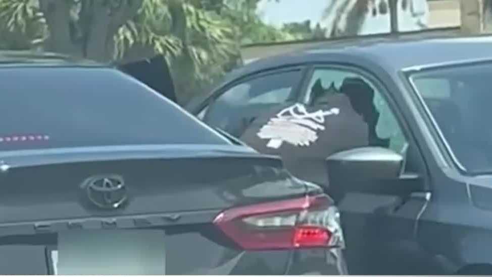 Florida police find car burglars caught on tape by citizen