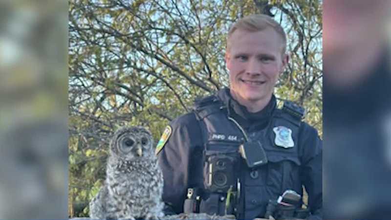 Pleasant Hill police officers swoop in to rescue baby owl after tornado