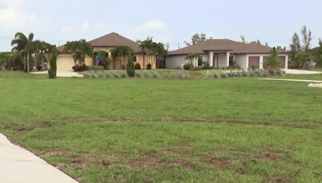 Tire tracks left behind in grass at new Tropicana Park in Cape Coral