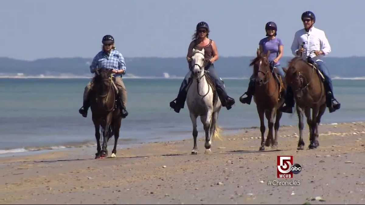 On the Water Horseback riding on Cape Cod beaches