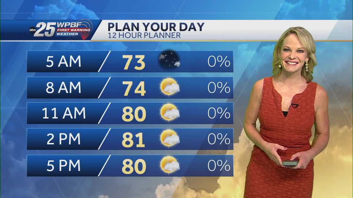 Sunny and mild for SFL today