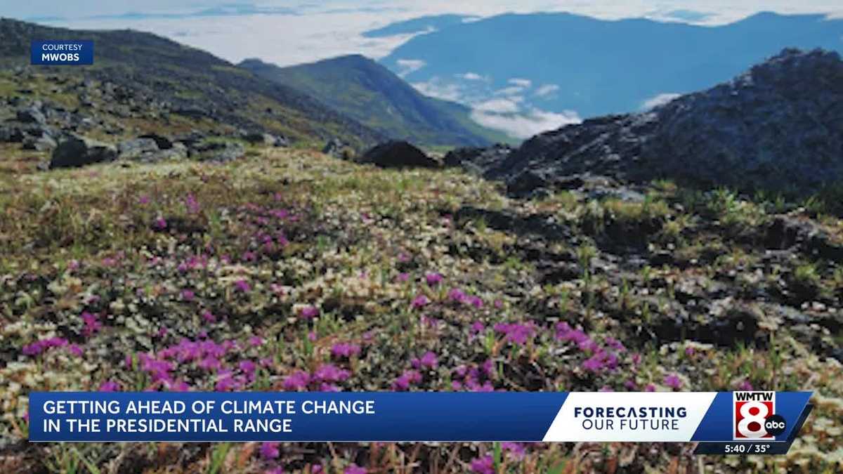 Warming winters are shrinking crucial alpine growing season in New Hampshire’s Presidential Range