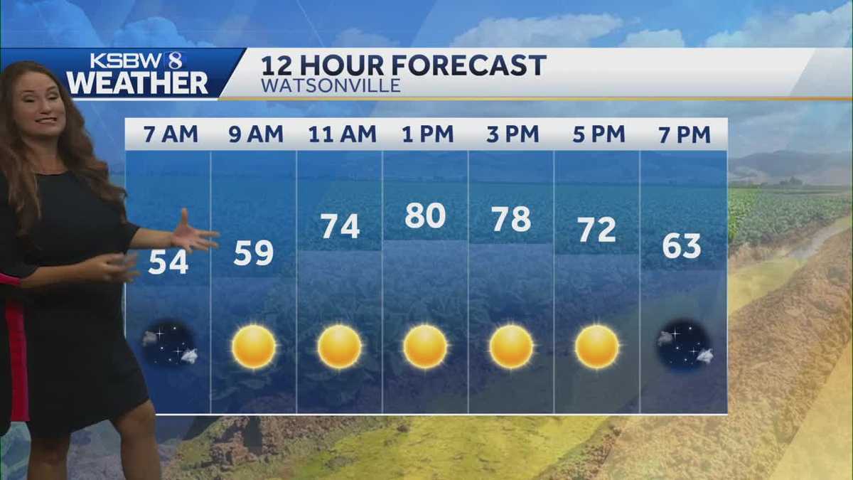 Warm and sunny weekend ahead on the Central Coast