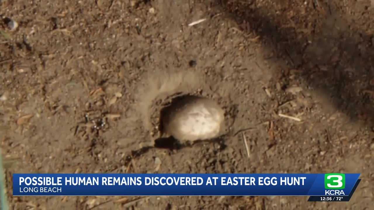 Possible human remains found during Easter egg hunt at Southern California park