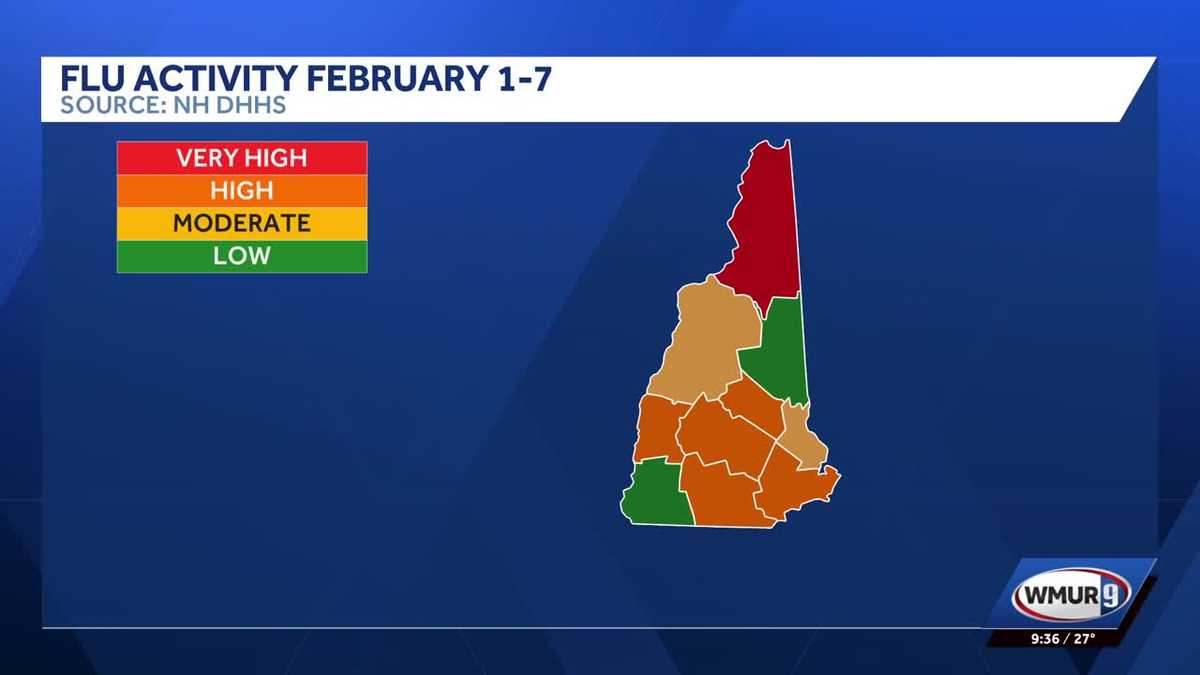Four new adult flu deaths reported in New Hampshire, according to latest data