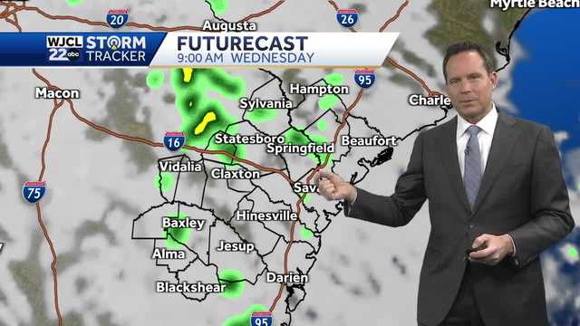 Savannah: Rain chances and temperatures increase this week - Vimarsana News