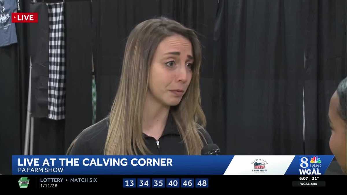 Pennsylvania Farm Show offers interactive farming experiences at the Calving Corner