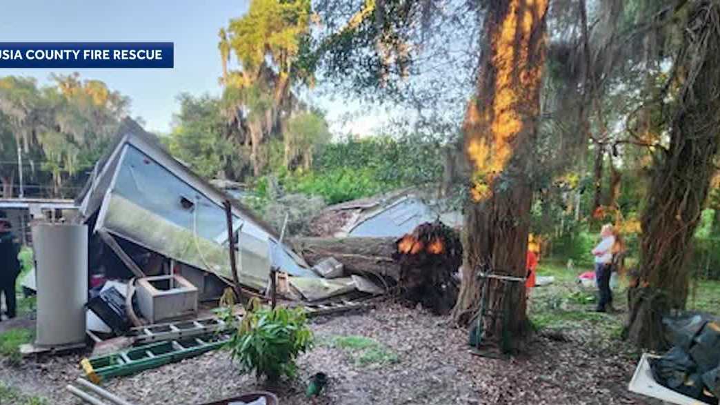 82-year-old woman rescued after tree falls on her Volusia County home