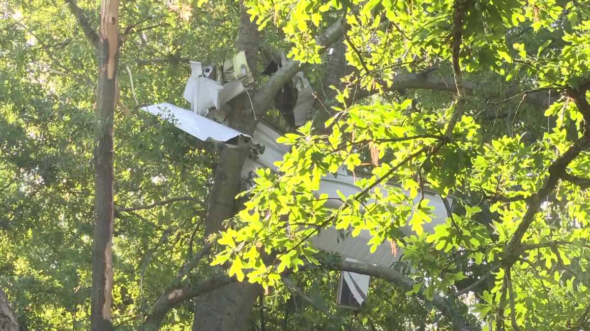 Georgia pilot killed after plane crashes in neighborhood