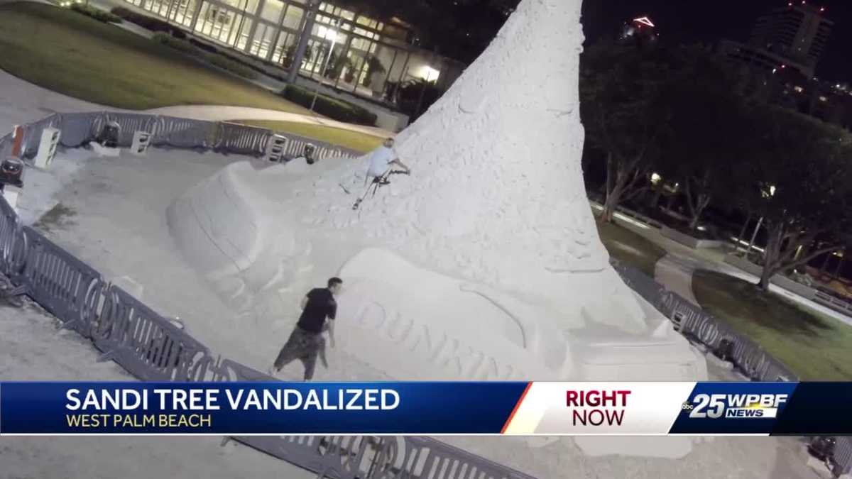 Vandals of Sandi the 700 ton sand Christmas tree caught on surveillance(01)