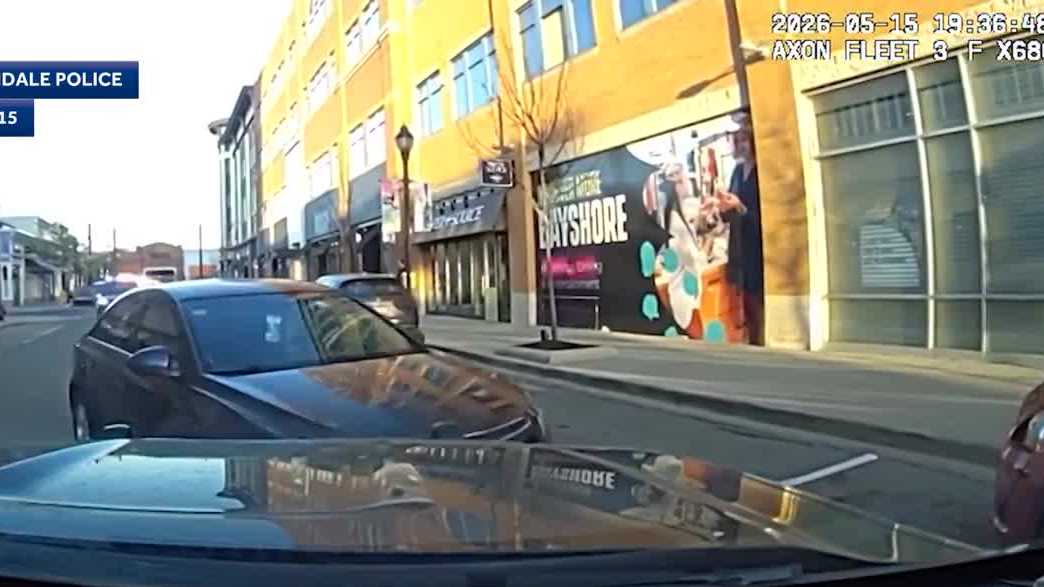 Driver leads police on cross-county chase, through narrow Bayshore Mall roads