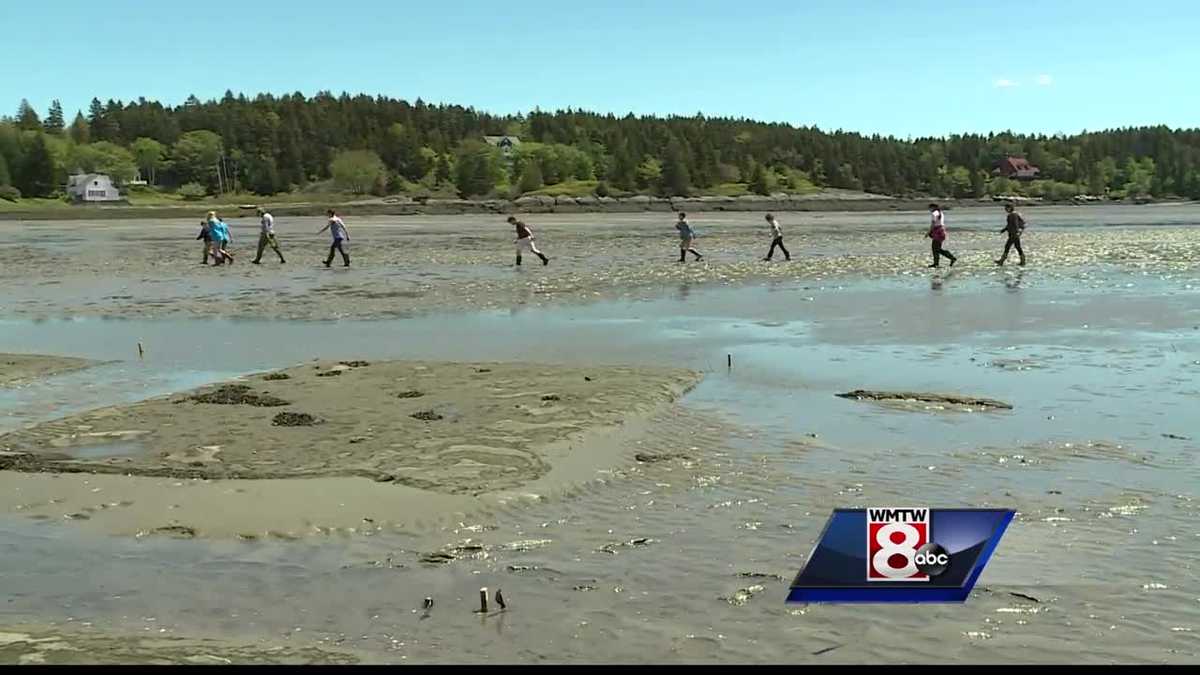 Students learn how climate change is affecting Maine's clam industry