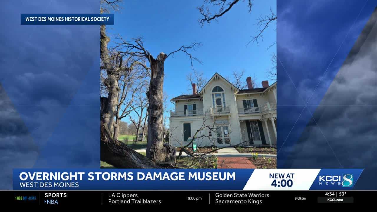 Centuries-old burr oak tree falls at Jordan House Museum during storms