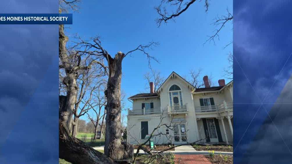 Centuries-old burr oak tree falls at Jordan House Museum during storms