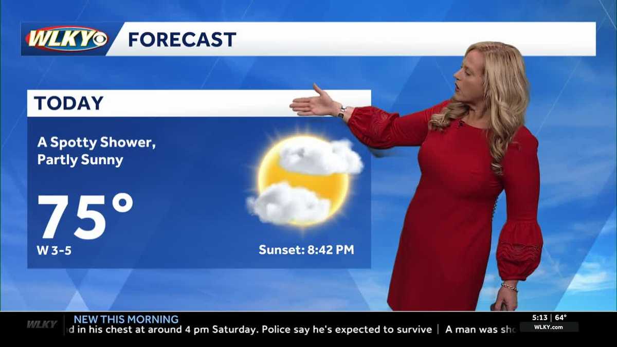 Stray shower possible Sunday