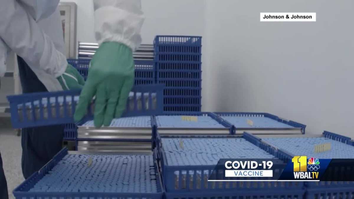 Hopkins Doctor Breaks Down Latest Reaction Risk In J J Covid 19 Vaccine Hopkins Doctor Breaks Down Latest Reaction Risk In J J Covid 19 Vaccine