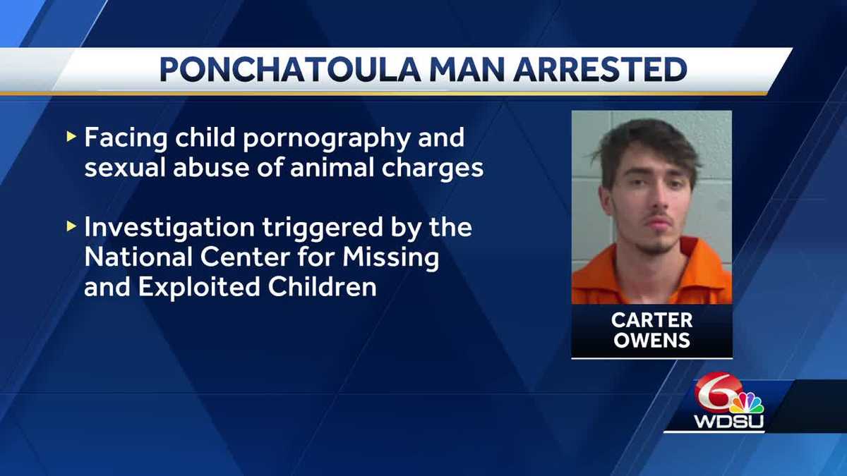 Ponchatoula teen arrested for possessing child pornography, sexual ...