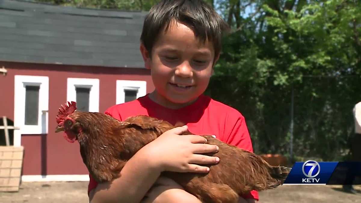 Farm school in Hamburg, Iowa