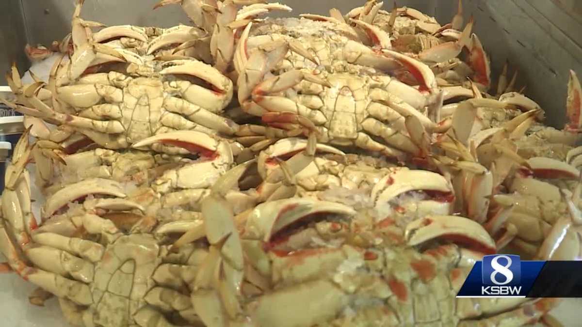 Dungeness crab prices on the rise