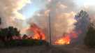 Purpose of prescribed burns