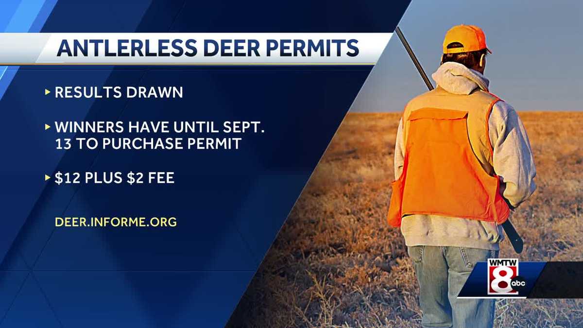 Results Maine Anterless Deer Permit Lottery