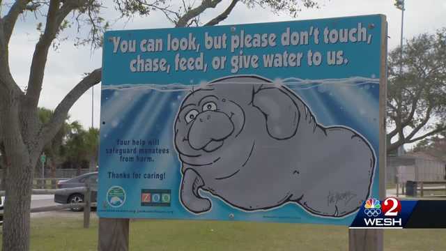 Officials warn against feeding Florida's manatees - Vimarsana News